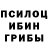 Псилоцибиновые грибы прущие грибы Diana Zatis