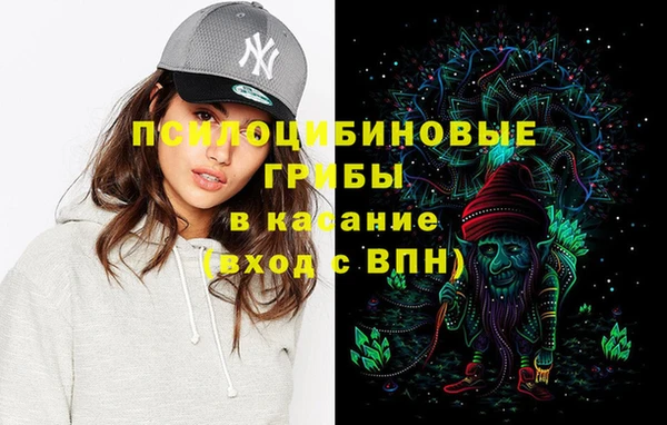 ешки Осинники