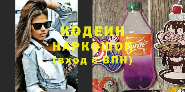 хмурый Алзамай