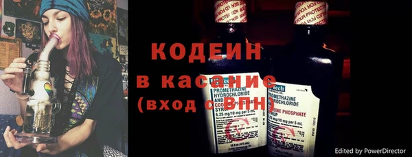 гашик Алексин