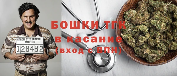 хмурый Алзамай