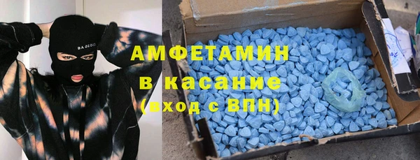 гашик Алексин