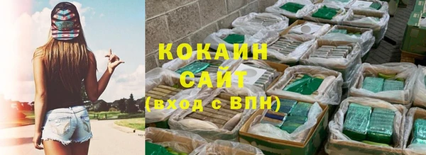 гашик Алексин