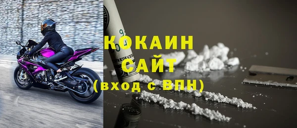 хмурый Алзамай