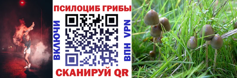 кракен ССЫЛКА  Пикалёво  Псилоцибиновые грибы Magic Shrooms 